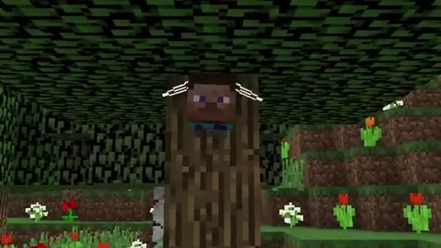 Steve Bee 🥰 #minecraft #gamer