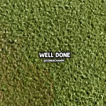 Andrew Tate "Sparring" with a kid