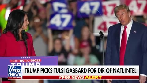 BREAKING NEWS.. TULSI GABBARD PICKED FOR DIRECTOR OF DNI