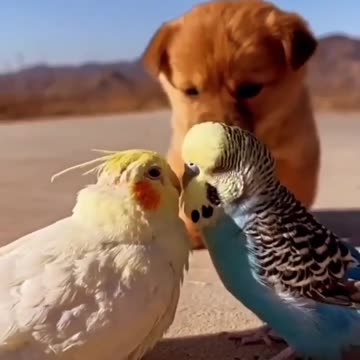 😘 Don't watch. You're too young for that. 😁