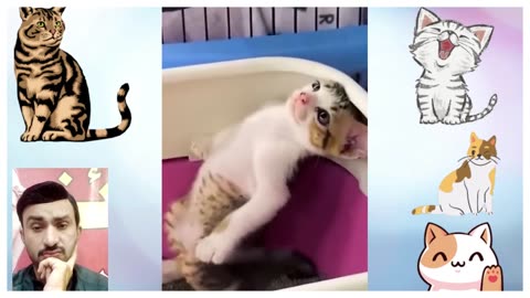 "From the Wild to the Web: Hilarious Animal Moments Caught on Tape"