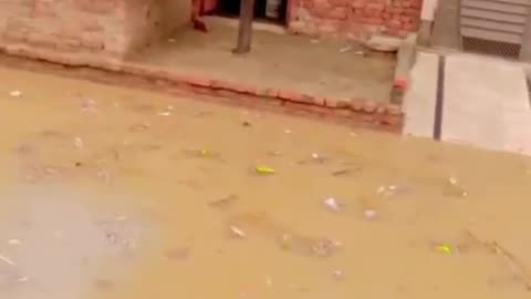 Pakistan Street Situation after Rain