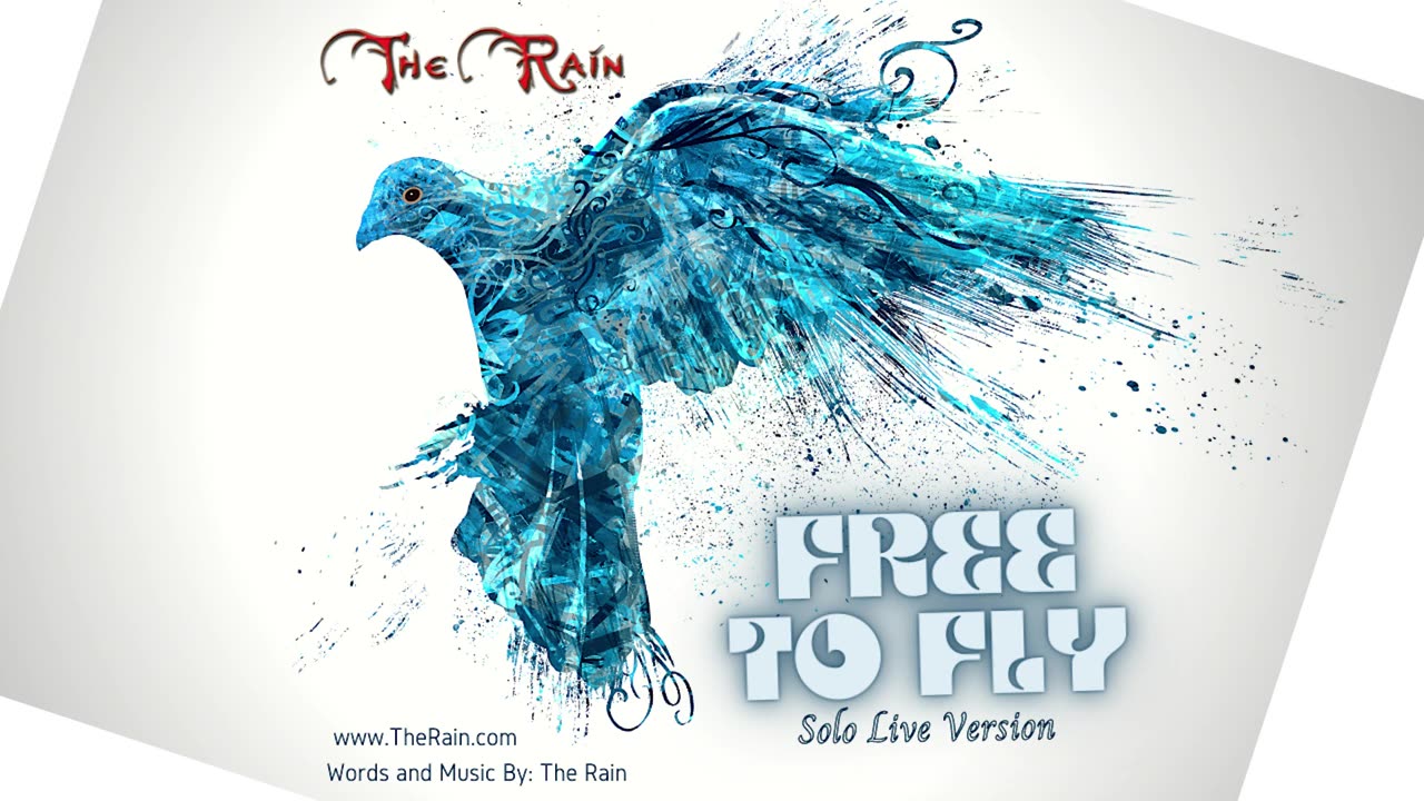 Free To Fly - Live Solo Version