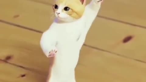 Dancing cat