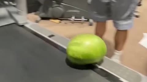 Treadmill Watermelon 🍉😂