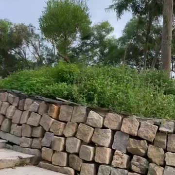 Sightseeing in the scenic area