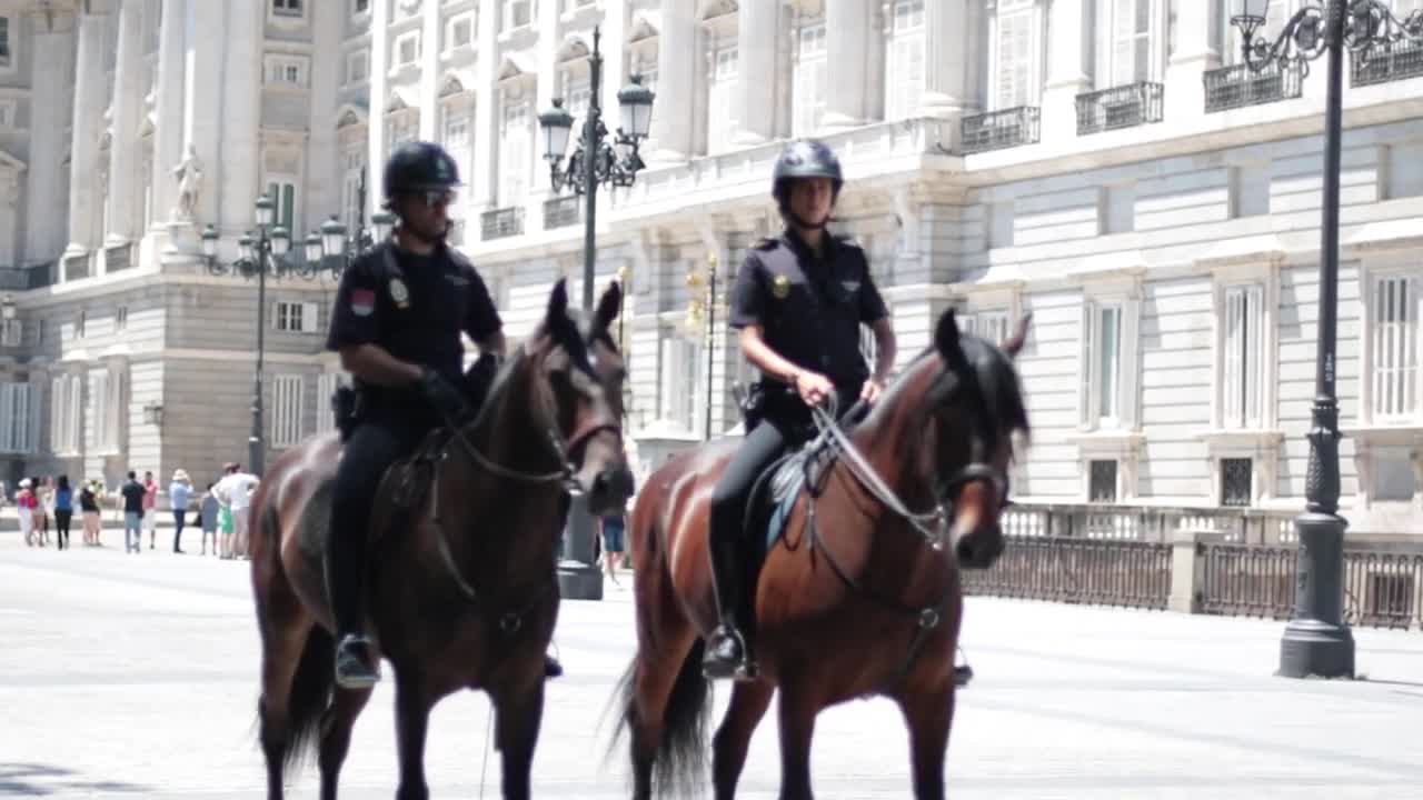 Use of horses for communication system