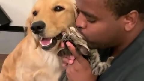 The dog and the cat are very fond of the owner's kisses