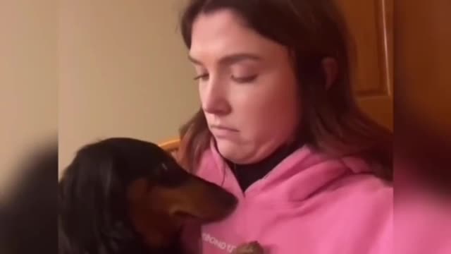 Give your dog a kiss and see what happens