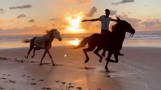 Horse riding on the beach the best in the world for more experienced riders