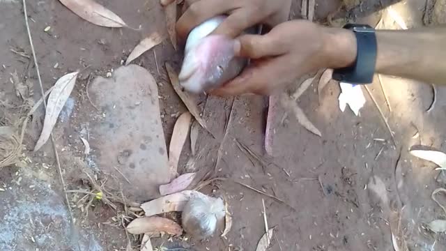 Fishing live in our arabie