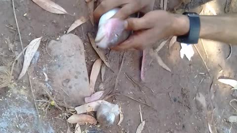 Fishing live in our arabie