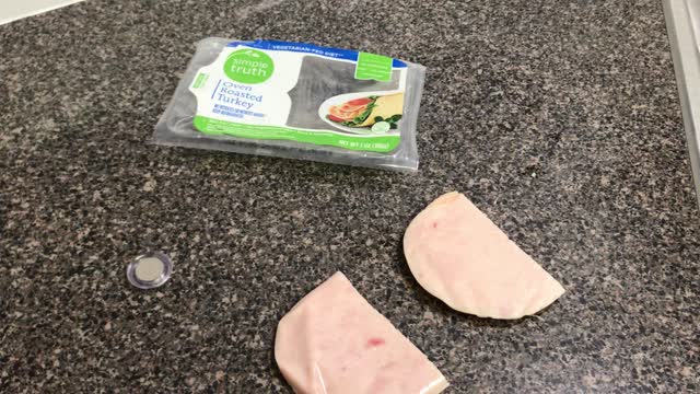 Magnet Sticks to Turkey Breast