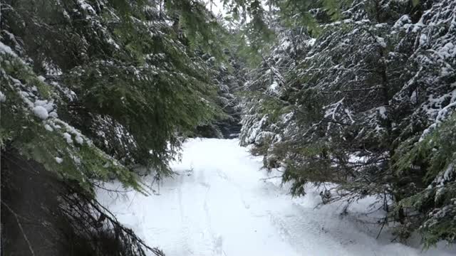 Full Size Snow Wheel