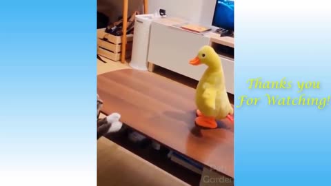 Funniest and cute part-It's time for laugh