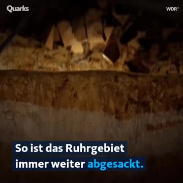 Nature reclaims its habitat