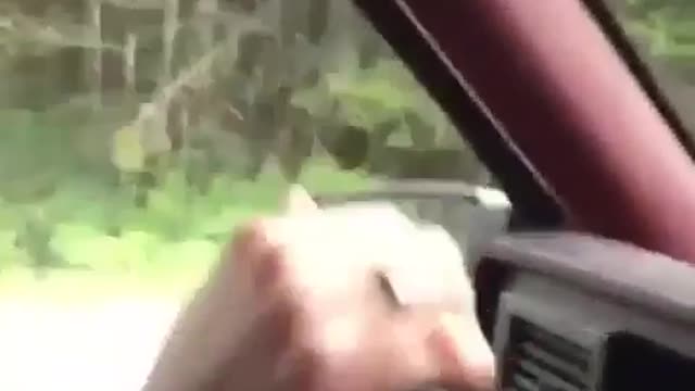 Guess what I met on the roadside