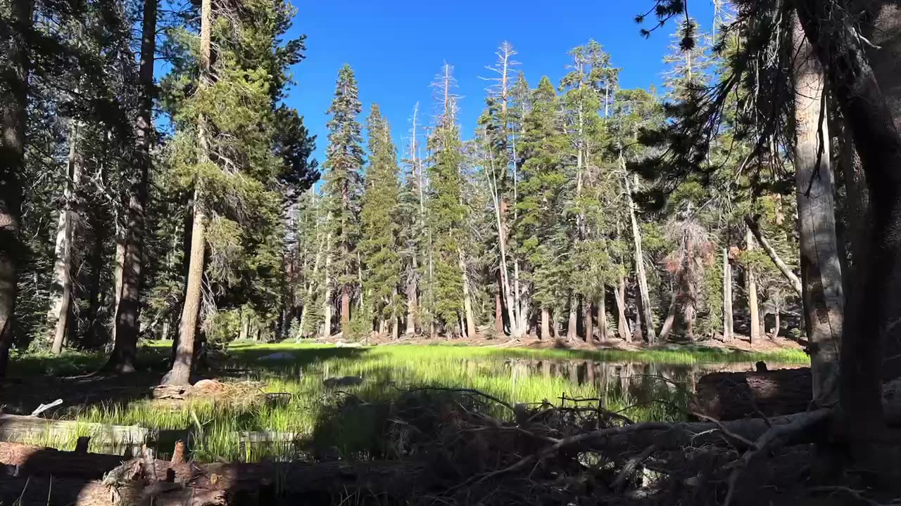 Strawberry Lake Aug 2023