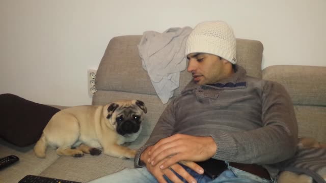 Cudding with a pug