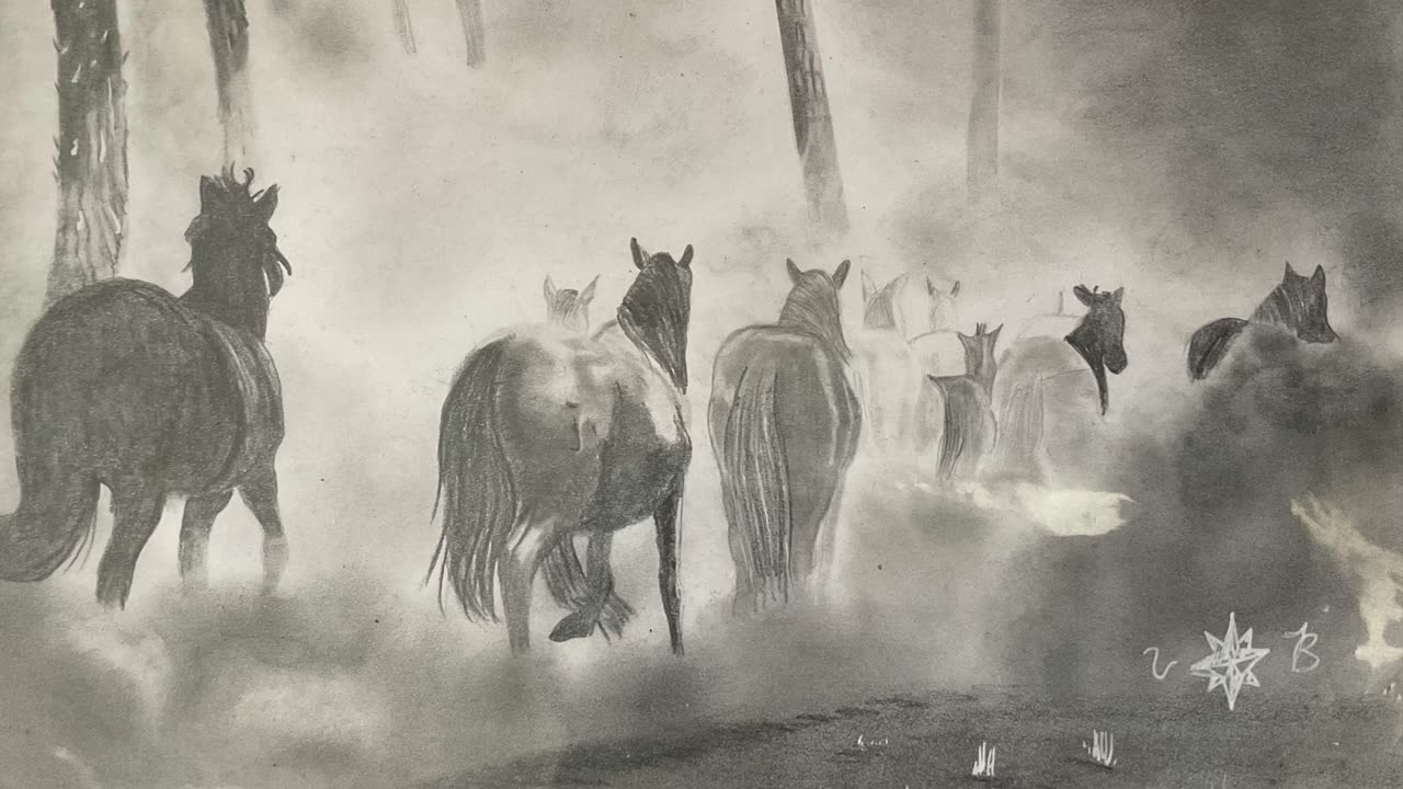 The Horses In The Mist Time Lapse