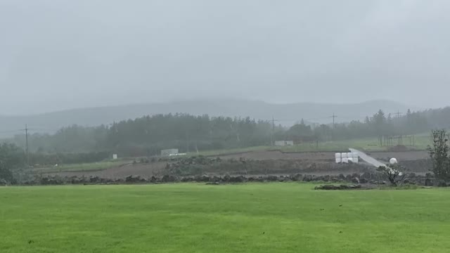 Rainy jeju island