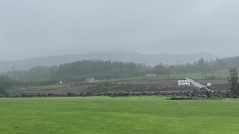 Rainy jeju island