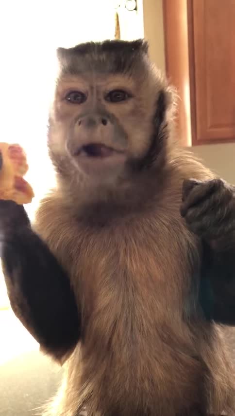 Do y’all remember old square school pizza! Well mom got a case today from the restaurant supplier