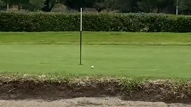 Golf bunker shot