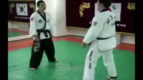 Hapkido (Grand Master Shin)