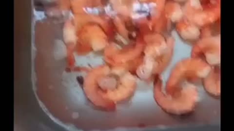 Shrimp 🦐 Galore