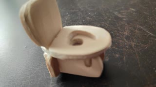 the toilet toy is spinning
