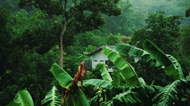 Footage nature