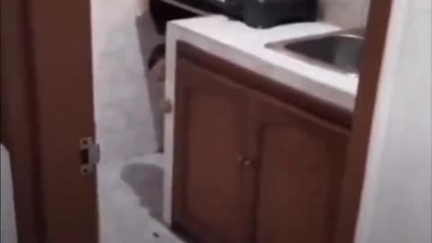 Haunted House