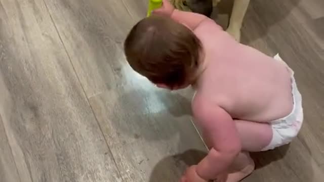 Cute Babby Playing with Dog