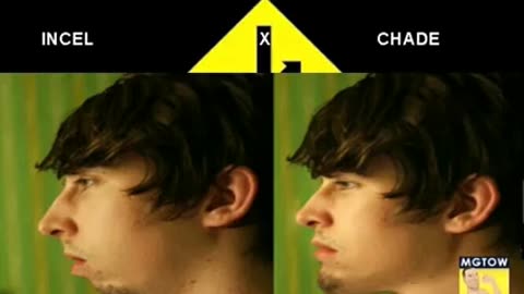 Mgtow Tatuado - A briga no MGTOW entre incels e chades