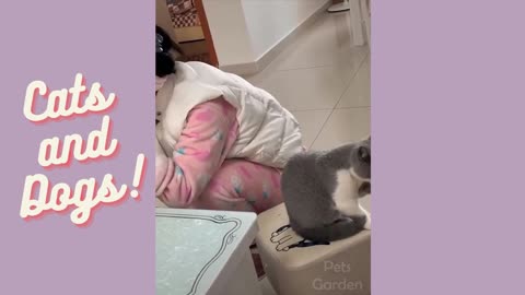 the owner of a cat fixes herself while her cat also licks her hair haha Cats and Dogs!