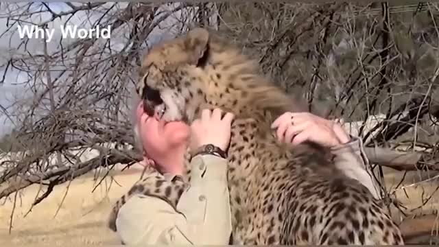 dangerous animal play with people
