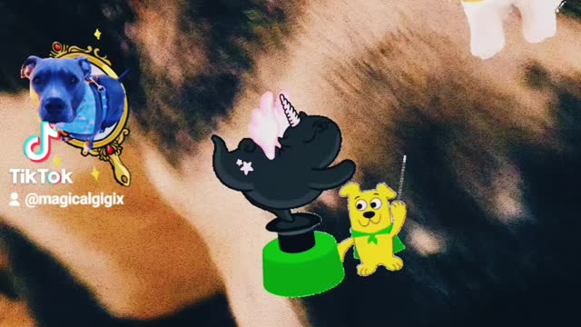 Magic Dog✨✨✨