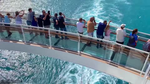 MSC Seashore stories.