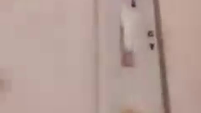 A drop of ORANGE juice, the result is POSITIVE