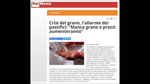 Crisi del grano: manca grano e i prezzi aumentano!