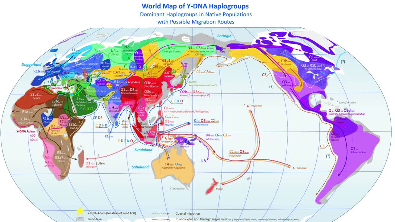 V 2000 - AMERINDS ANCESTORS OF ALL HUMANS HYPOTHESIS 01 def VIDEO 2000 qm (voorlopig)