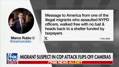 Illegals Arrested For Beating NYPD Cops Released - No Bail