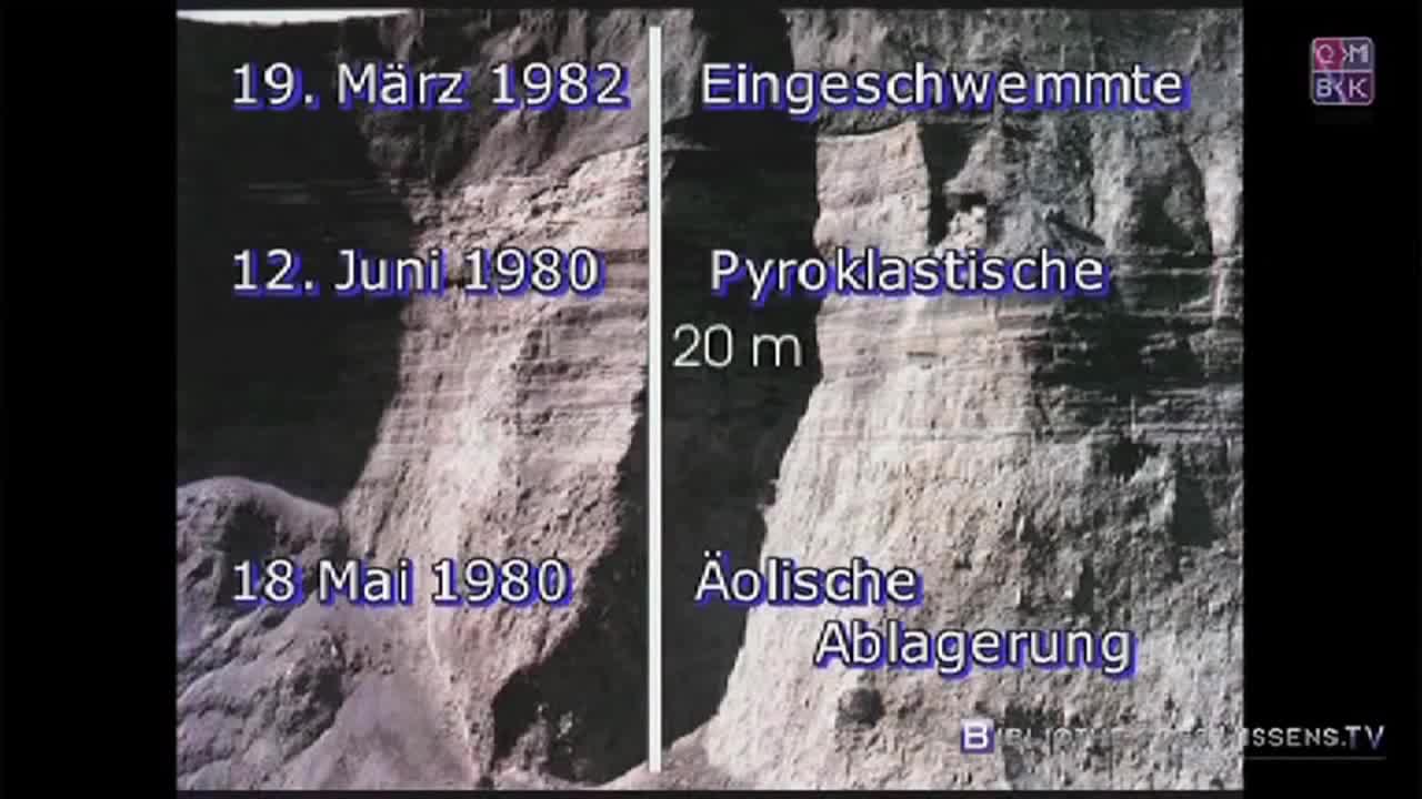 Die Evolutionslüge