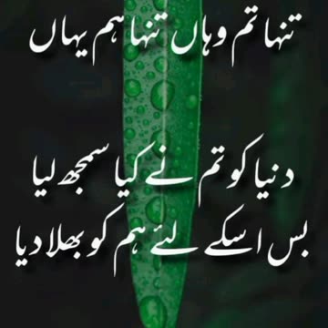 Adnan Durez ka Dewan