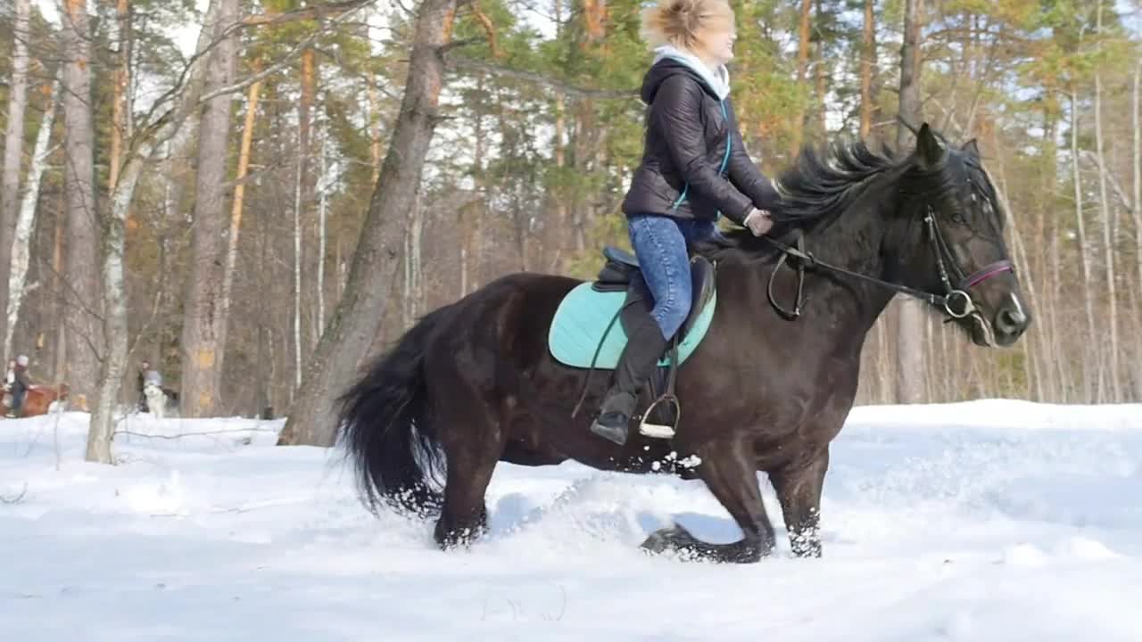 Snowy forest at spring. Happy woman riding a horse