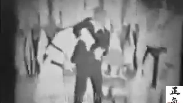 True AUTHENTIC Hapkido