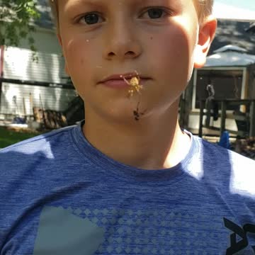 Not afraid of spiders