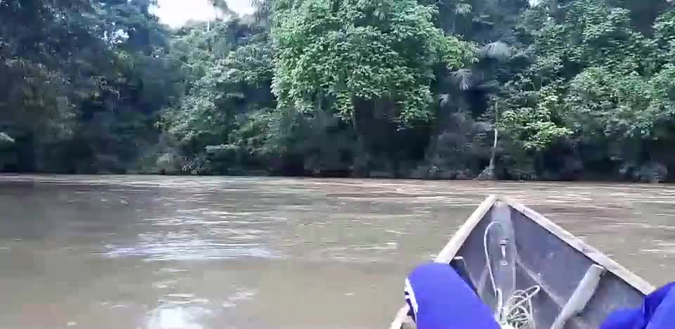 Relaxing deep in the forests of Borneo