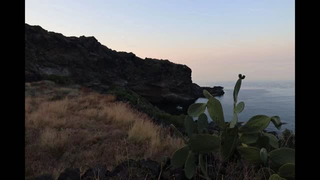 Agave Tequilana Pantelleria 3